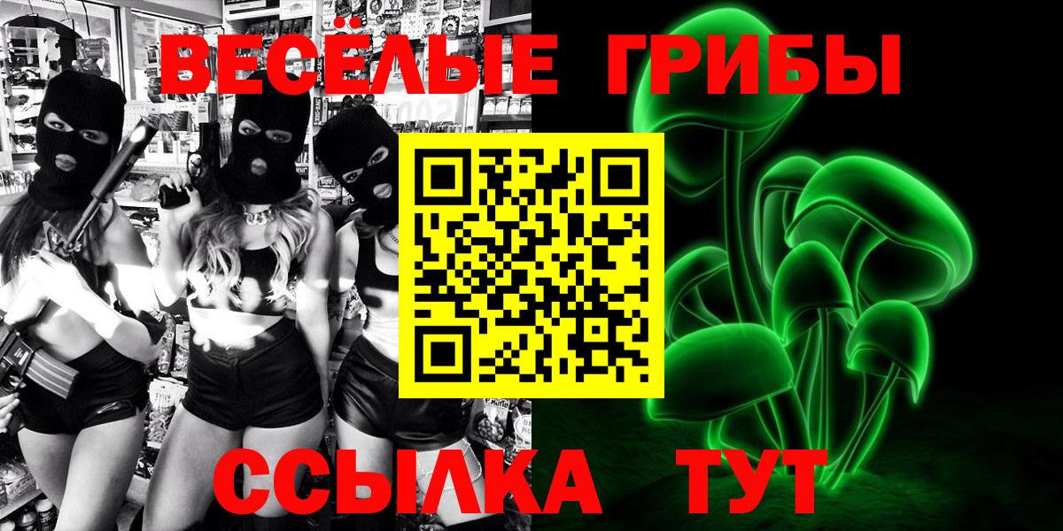 Галлюциногенные грибы Psilocybine cubensis Кингисепп