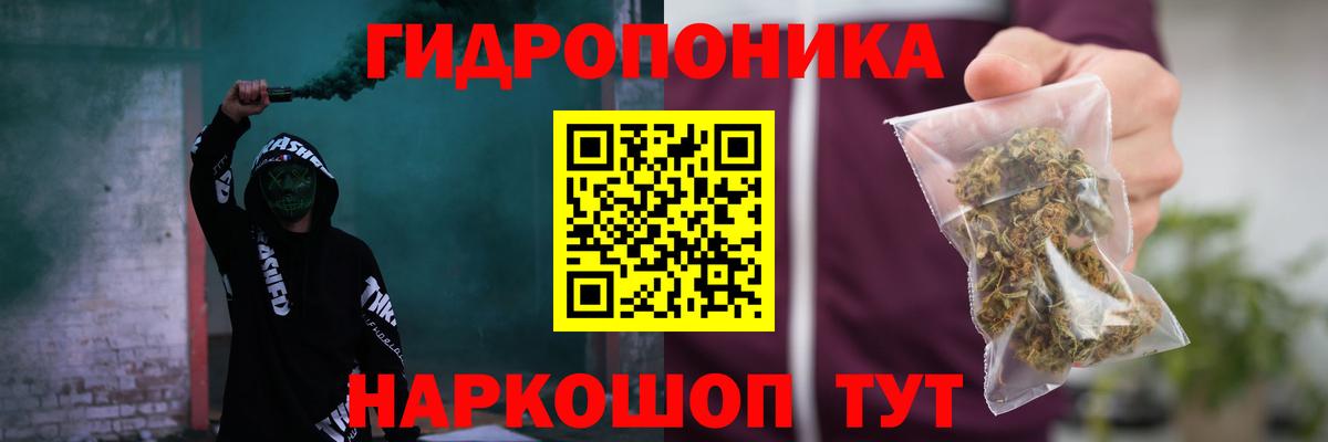 Шишки марихуана конопля  Конопля тримм  Кингисепп  Вход с VPN  Бошки Шишки план 